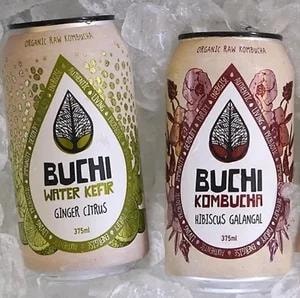 Buchi organic kombucha cans — Ginger Citrus and Hibiscus Galangal
